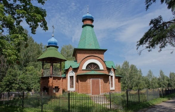 Дезинсекция в Ликино-Дулево
